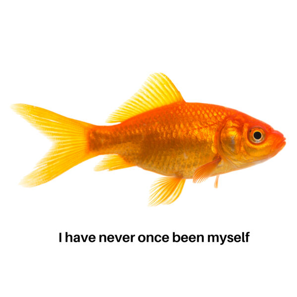 Existential Goldfish Thumbnail