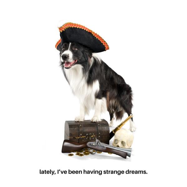 Strange Dreams Dog Thumbnail
