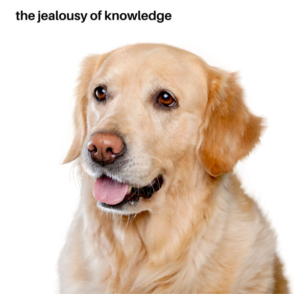 Jealousy of Knowledge Thumbnail