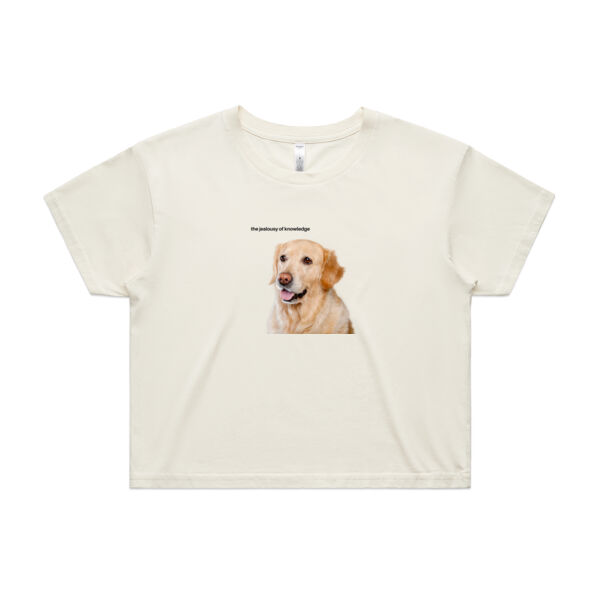 Jealousy of Knowledge Womens Cropped Tee Thumbnail
