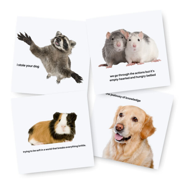 Shop by Design Thumbnail