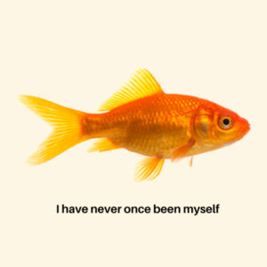 Existential Goldfish Tote Design