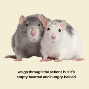 Hungry-Bellied Rats Mens Tee Design