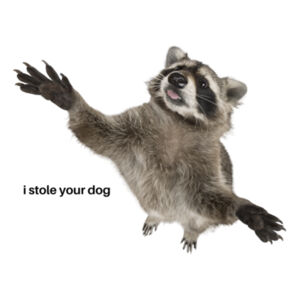 Dog Thief Mug Design