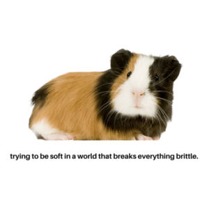 Brittle Pig Mug Design