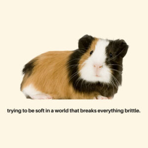 Brittle Pig Tote Design