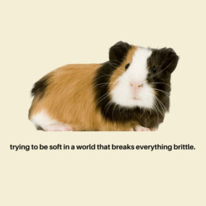 Brittle Pig Womens Tee Design