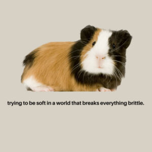 Brittle Pig Womens Cropped Tee Design