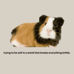 Brittle Pig Womens Crew Design